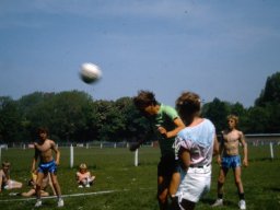 0DIA 1985 RAVA PUPS 1